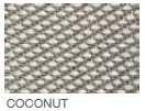 Coconut Swatch