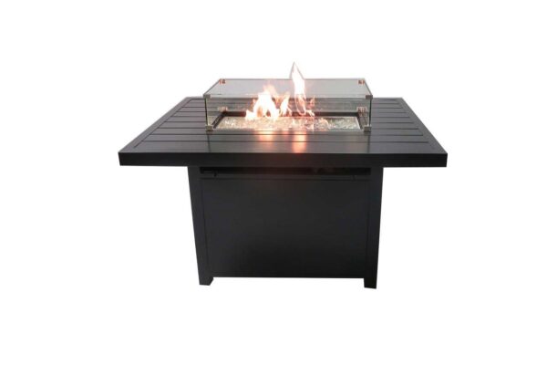 RT48 Aluminum Firepit frontwith windguard 1