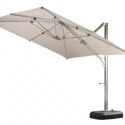 Tilia Umbrella