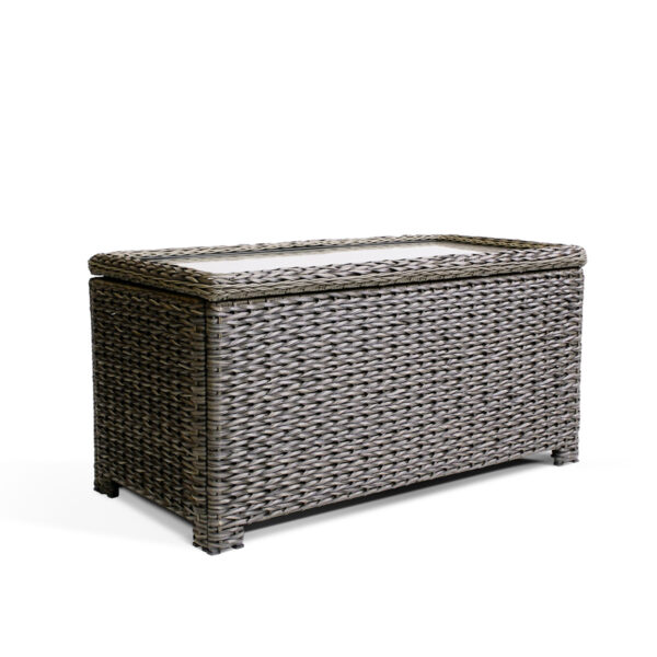 Laguna Point Storage Chest Coffee Table - Image 4